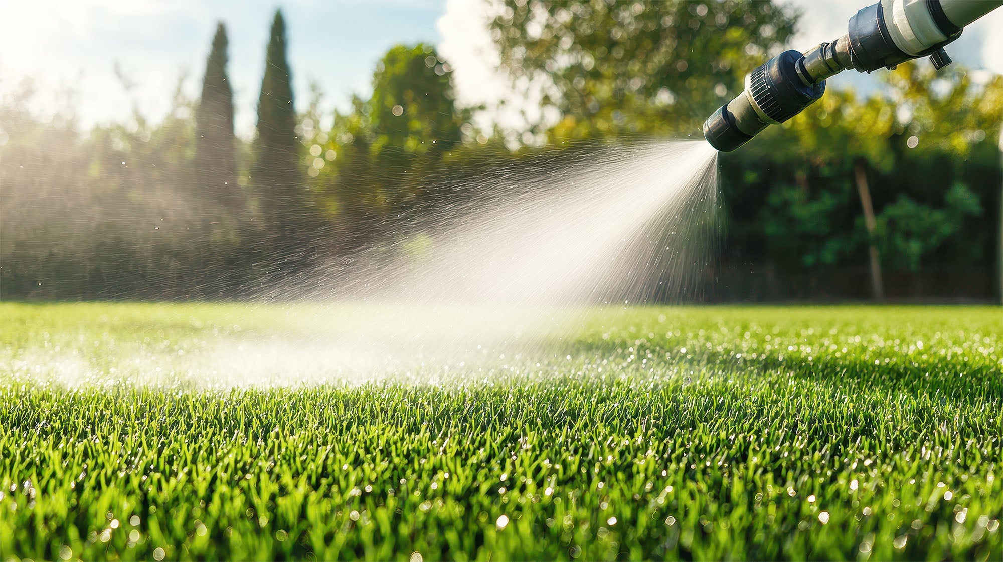 Turf Cleaning Services